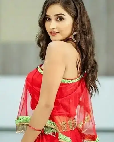 Call Girls Service Srirangapatna